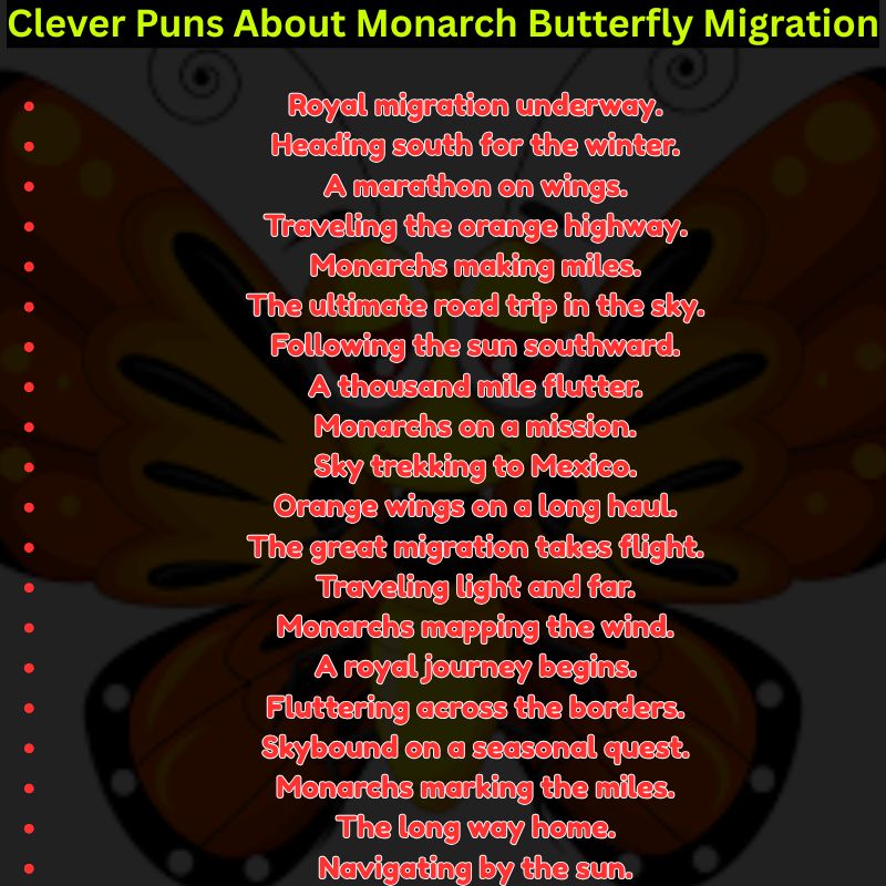 Clever Puns About Monarch Butterfly Migration