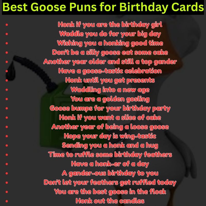 Best Goose Puns for Birthday Cards