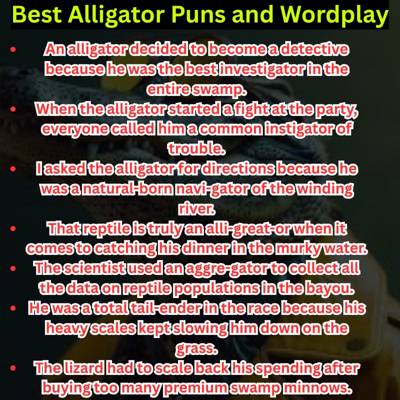Best Alligator Puns and Wordplay