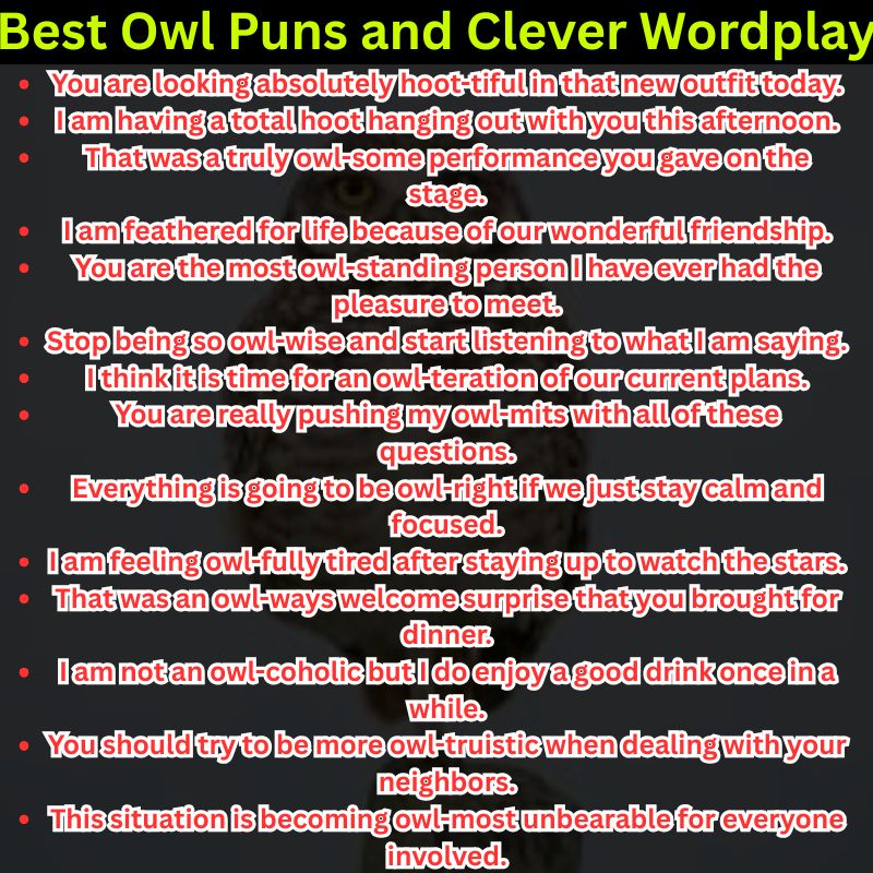 Best Owl Puns and Clever Wordplay
