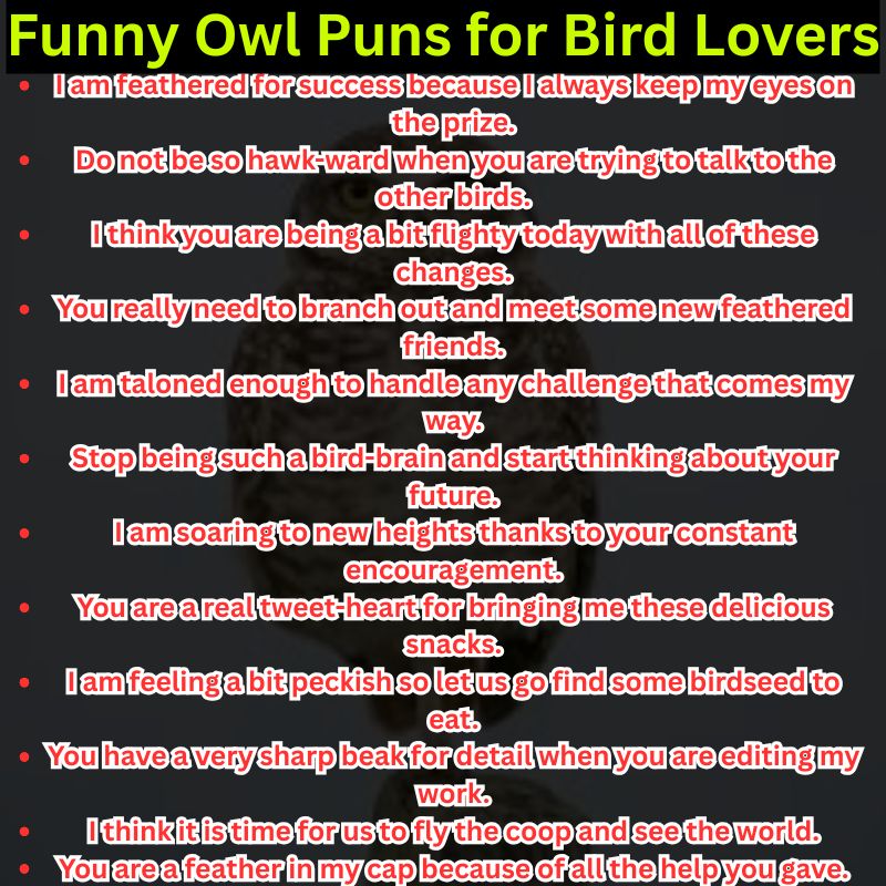 Funny Owl Puns for Bird Lovers
