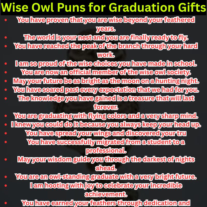 Wise Owl Puns for Graduation Gifts