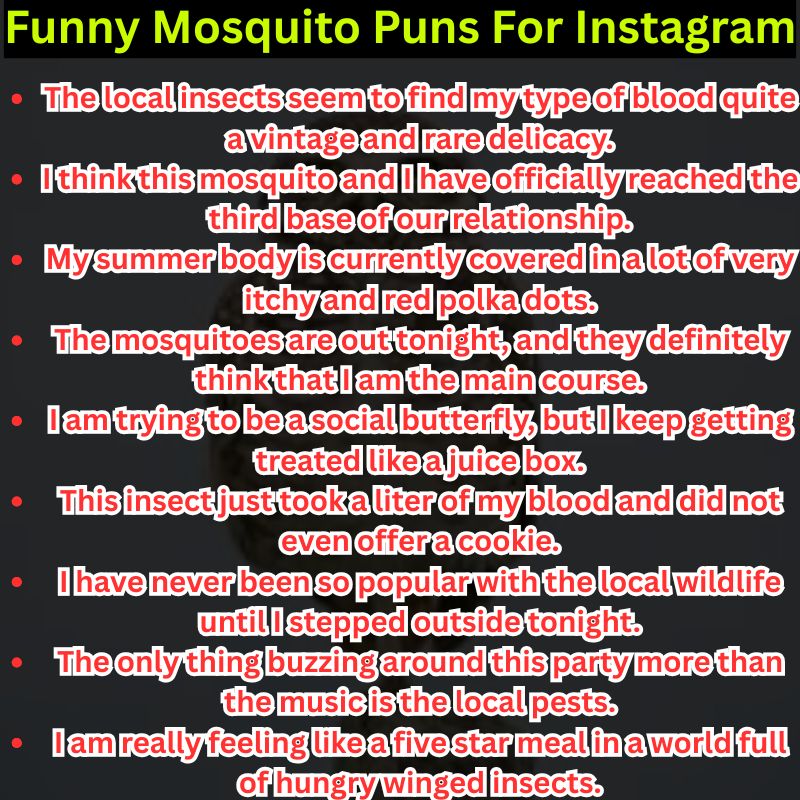 Funny Mosquito Puns For Instagram Captions