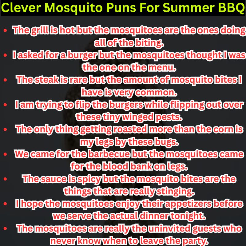 Clever Mosquito Puns For Summer BBQ