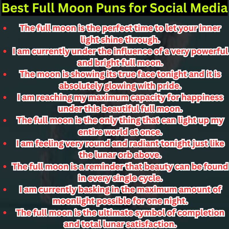 Best Full Moon Puns for Social Media