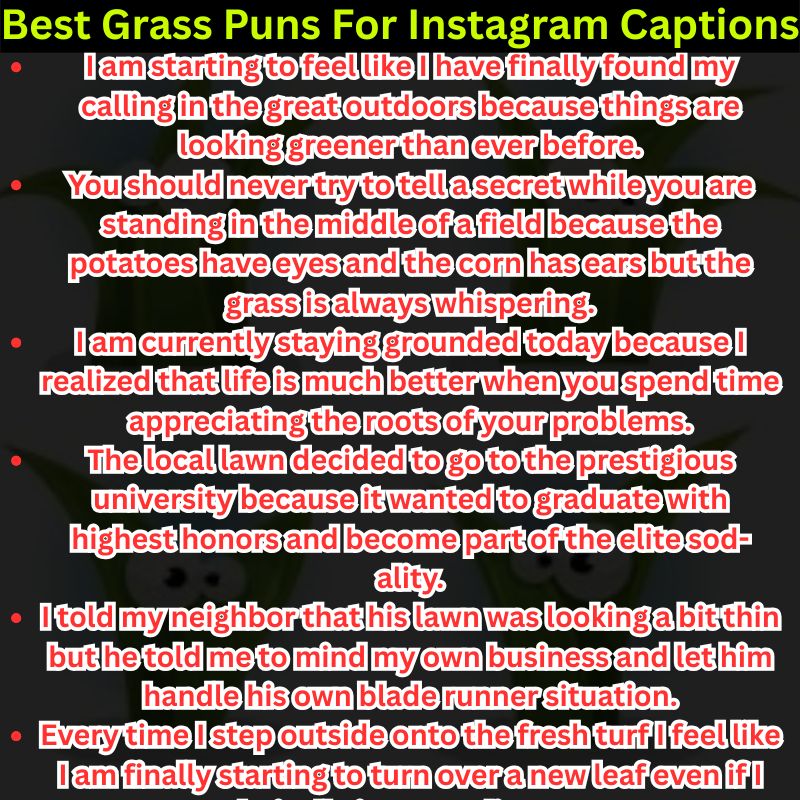 Best Grass Puns For Instagram Captions