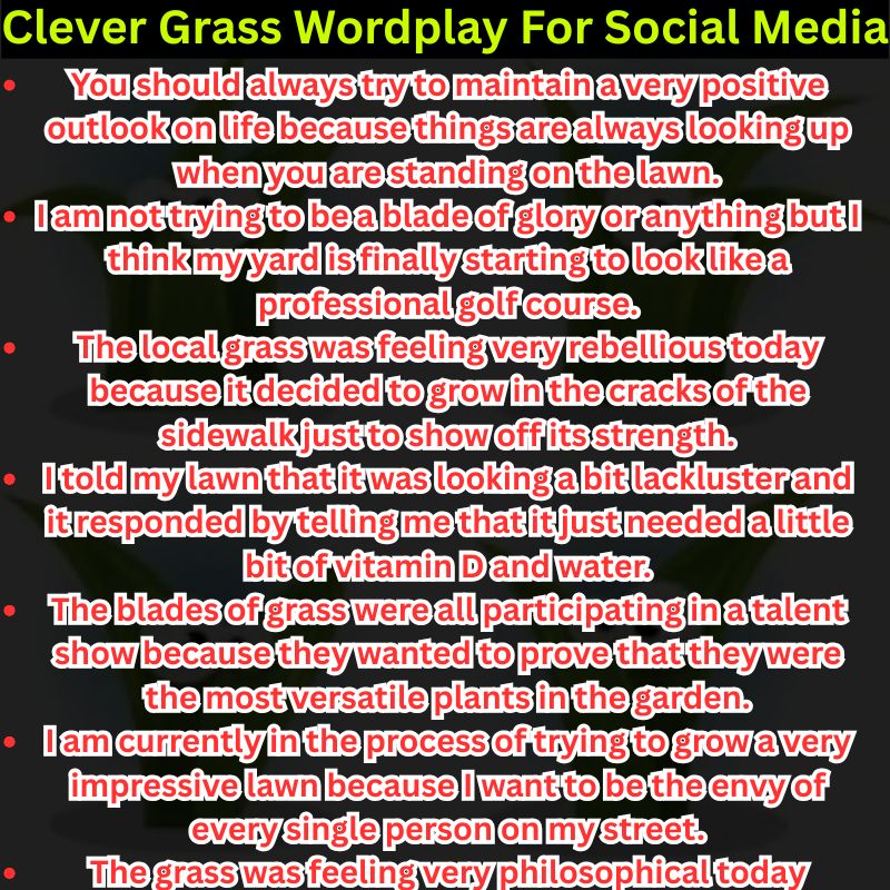 Clever Grass Wordplay For Social Media