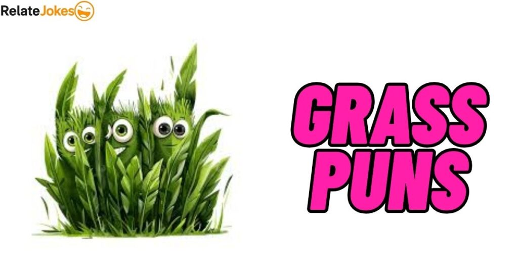 500+ Grass Puns Creative Lines For Better Social Reach