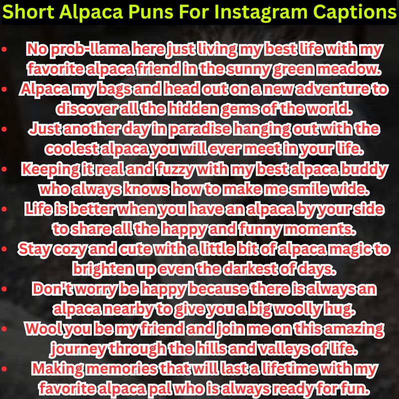 Short Alpaca Puns For Instagram Captions