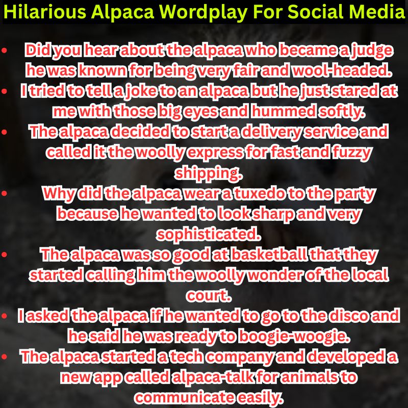 Hilarious Alpaca Wordplay For Social Media