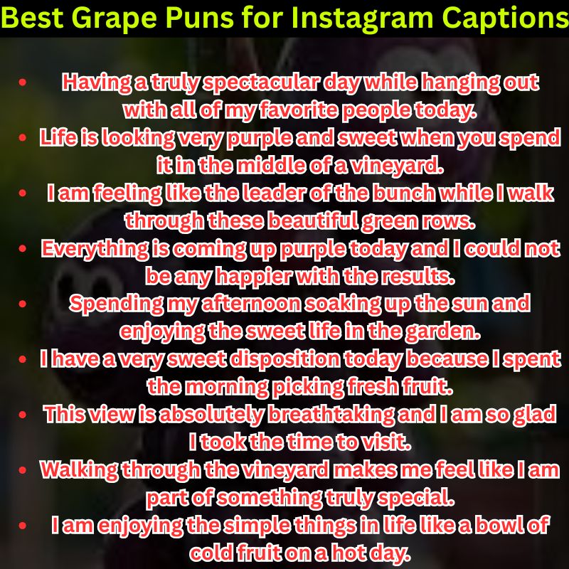 Best Grape Puns for Instagram Captions