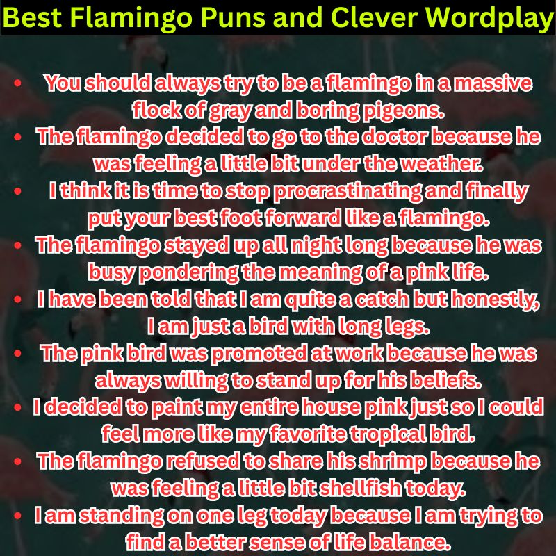 Best Flamingo Puns and Clever Wordplay