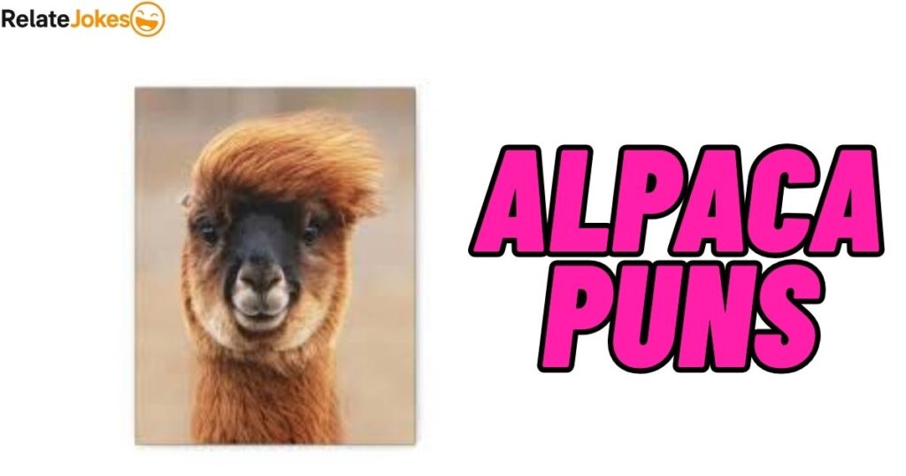 400+ Alpaca Puns: Epic Jokes To Make Your Friends Smile