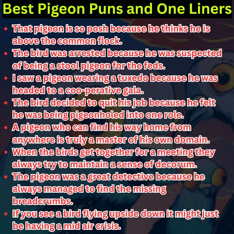 Best Pigeon Puns and One Liners