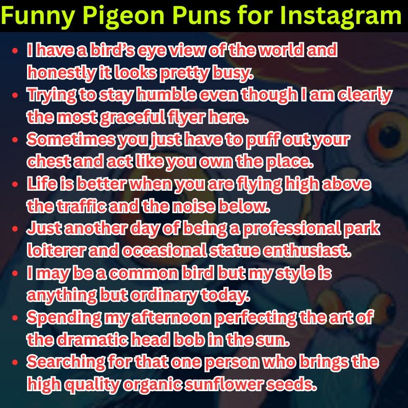 Funny Pigeon Puns for Instagram Captions