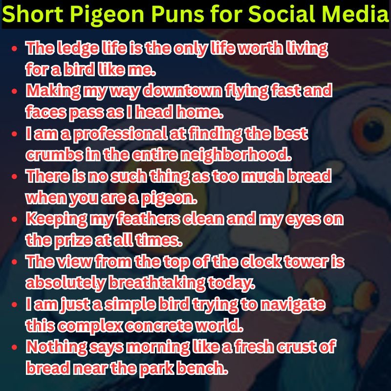 Short Pigeon Puns for Social Media
