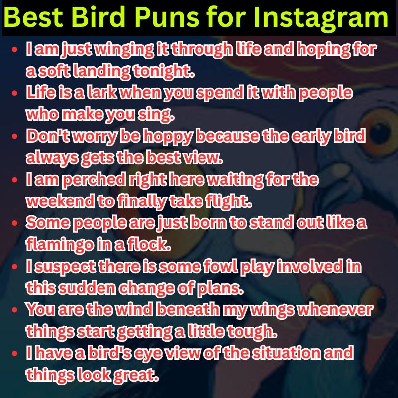 Best Bird Puns for Instagram Captions