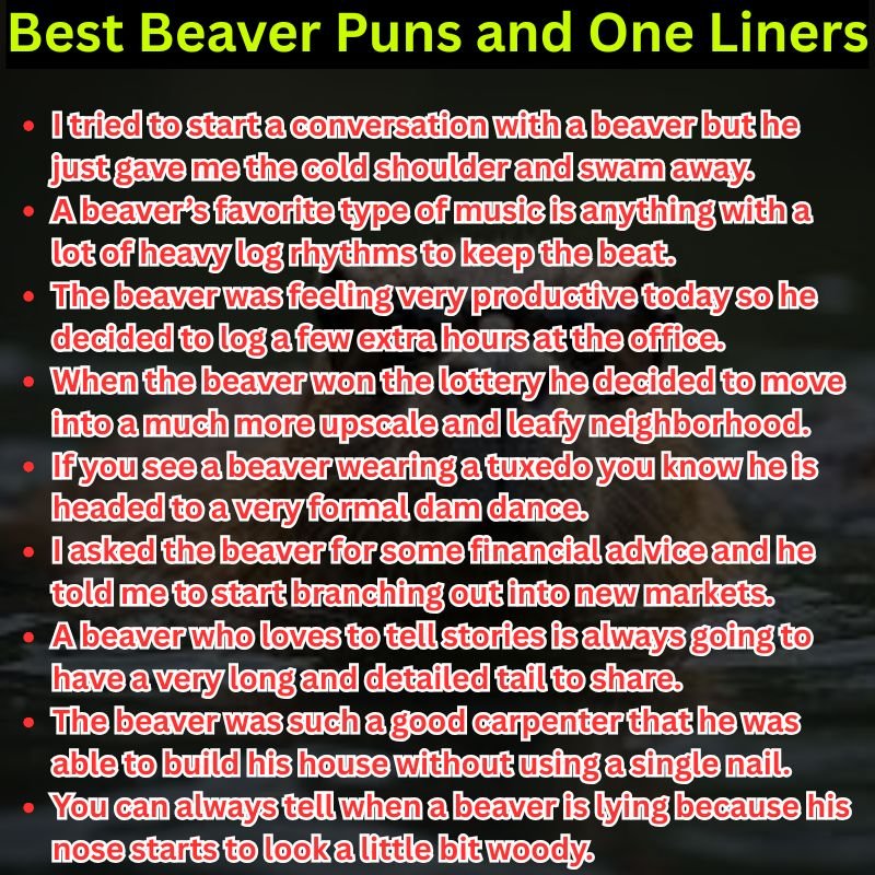Best Beaver Puns and One Liners