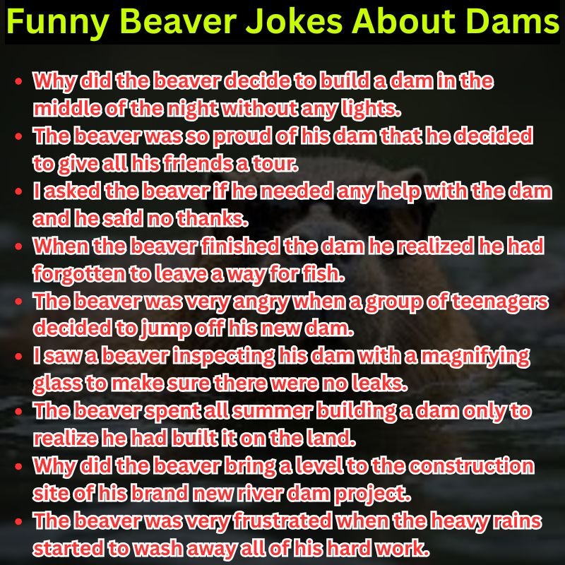 Funny Beaver Jokes About Dams