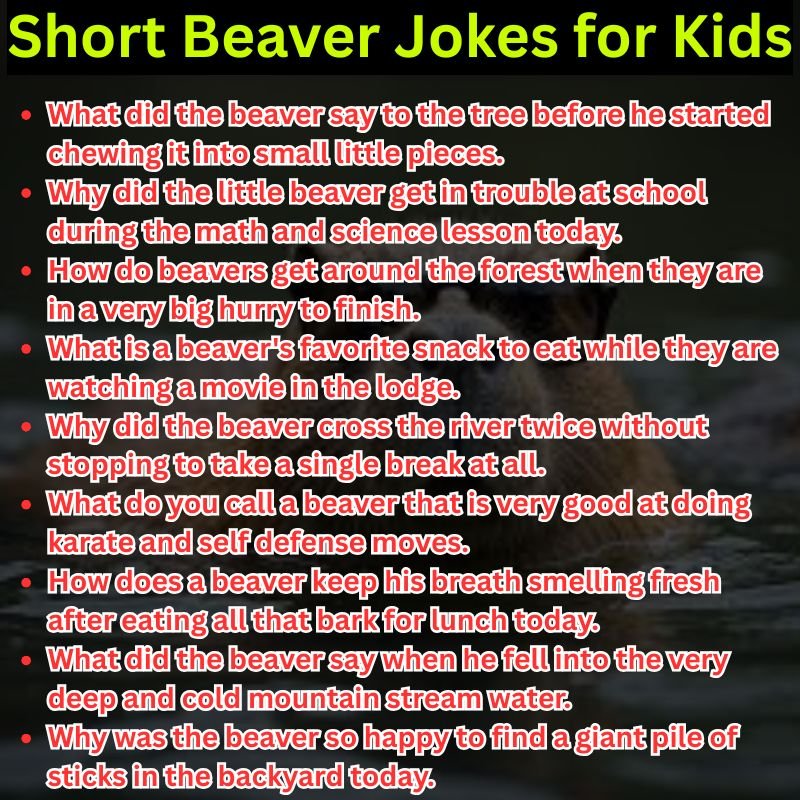 Short Beaver Jokes for Kids