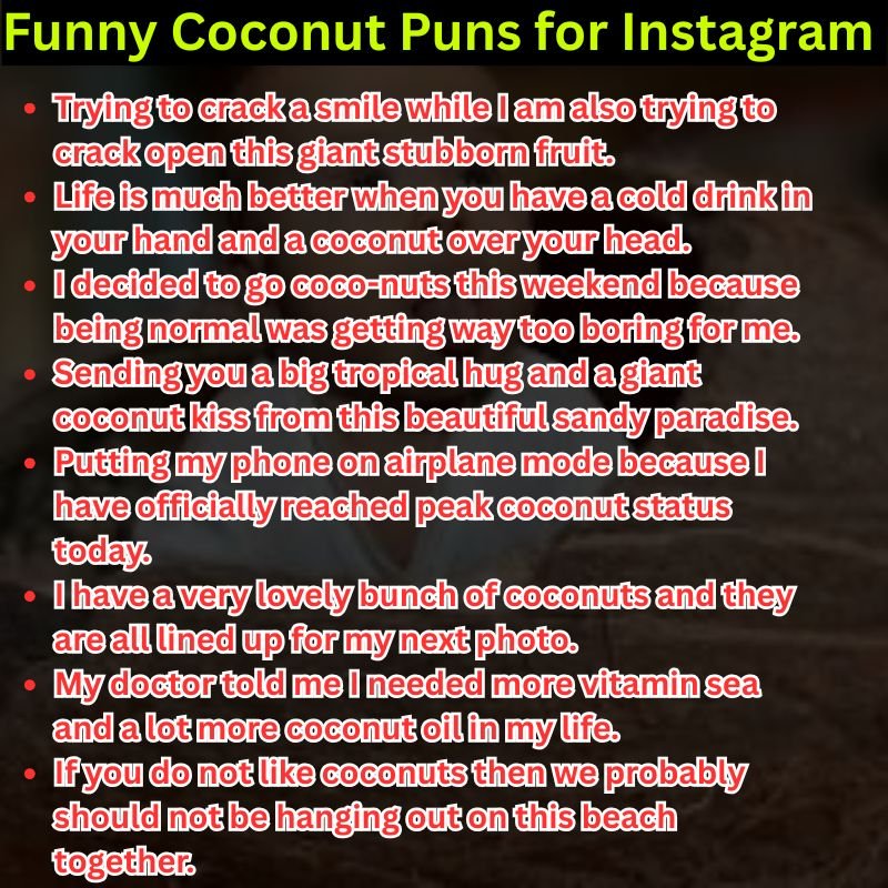Funny Coconut Puns for Instagram Captions