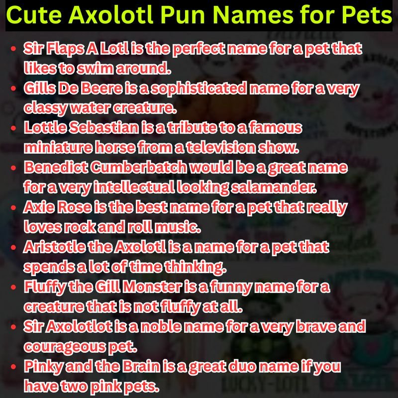 Cute Axolotl Pun Names for Pets