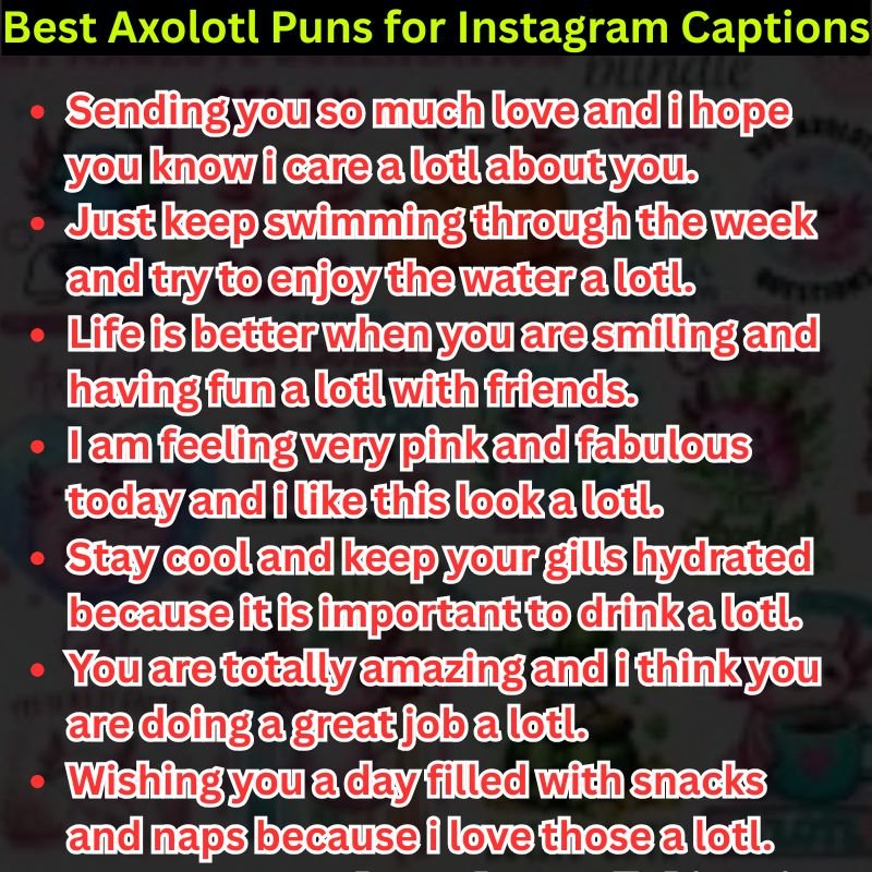Best Axolotl Puns for Instagram Captions