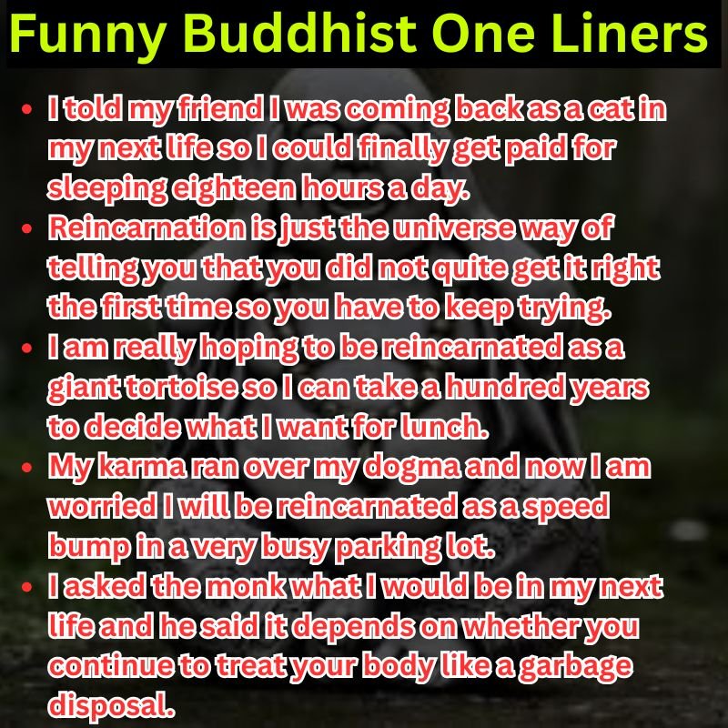 Funny Buddhist One Liners About Reincarnation