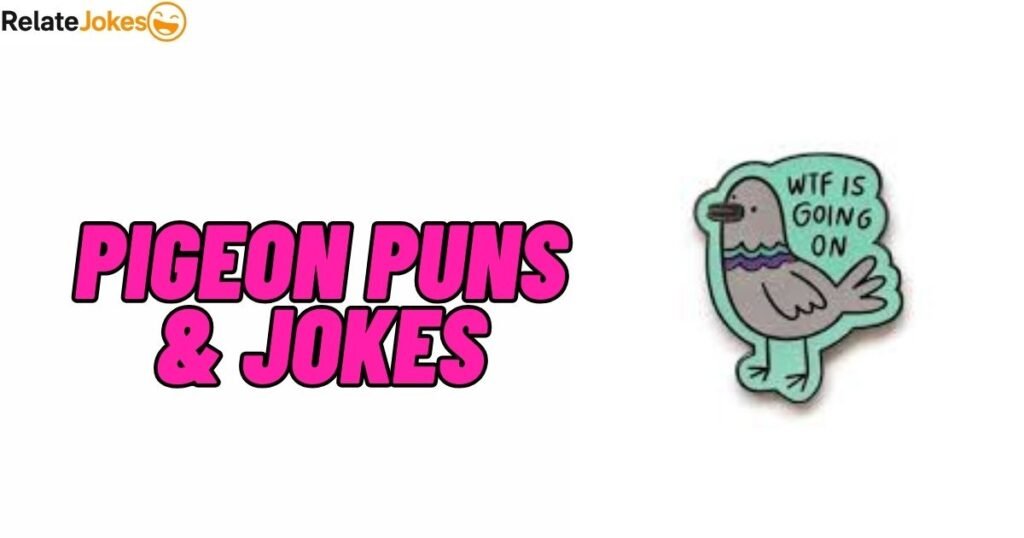 600+ Funny Pigeon Puns & Jokes, One Liners for Instagram