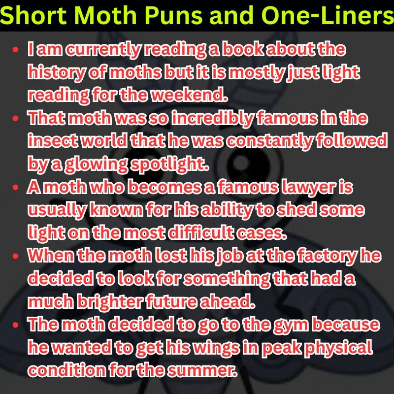 Short Moth Puns and One-Liners