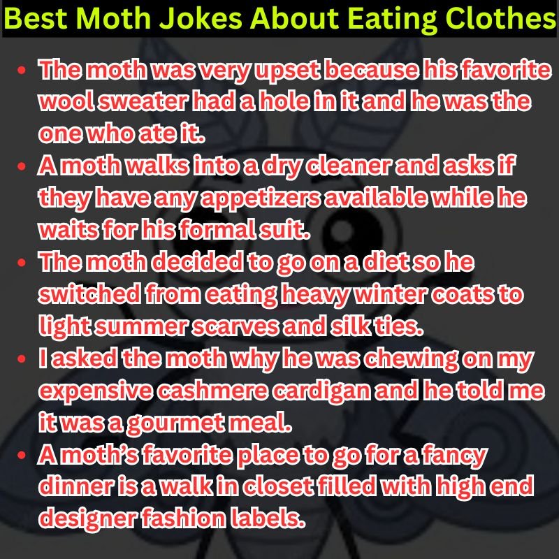 Best Moth Jokes About Eating Clothes