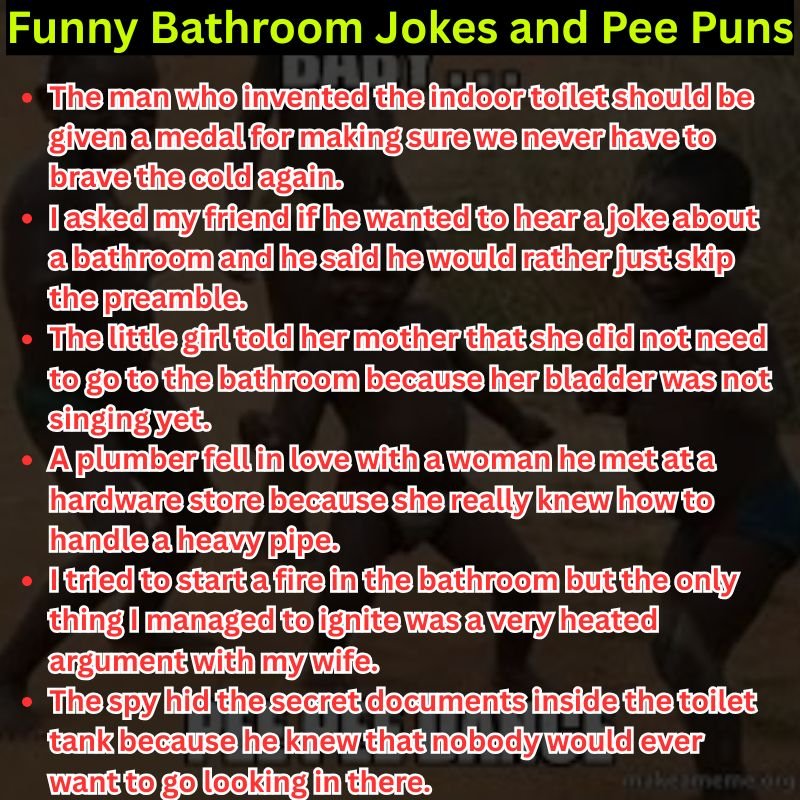 Funny Bathroom Jokes and Pee Puns