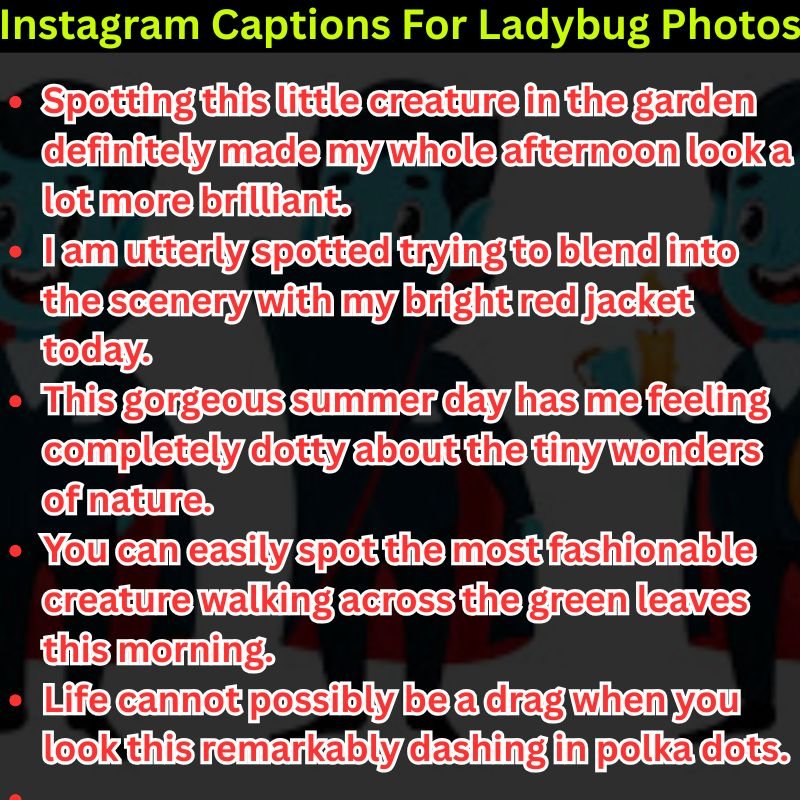 Instagram Captions For Ladybug Photos