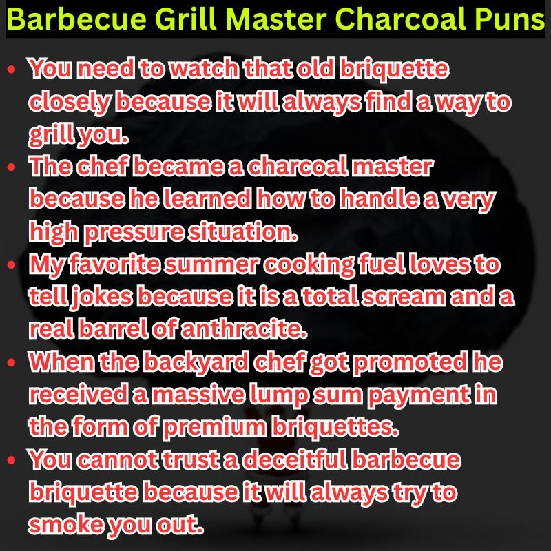 Barbecue Grill Master Charcoal Puns