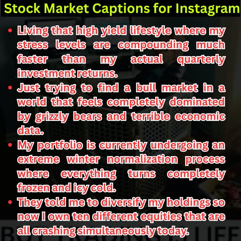 Funny Stock Market Captions for Instagram