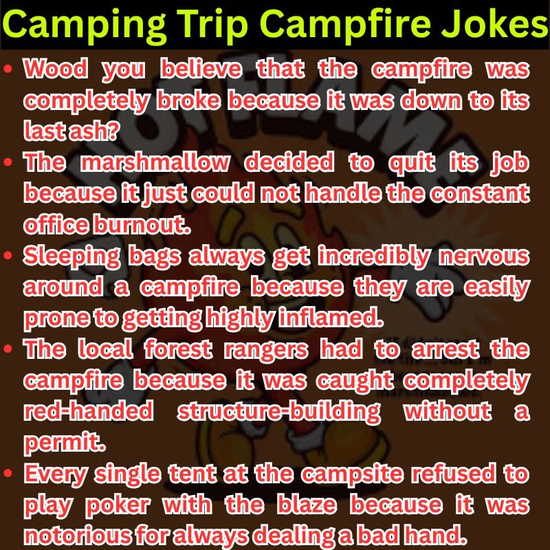 Camping Trip Campfire Jokes