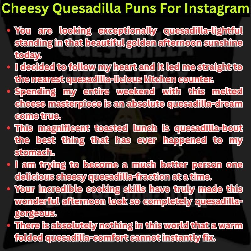 Cheesy Quesadilla Puns For Instagram