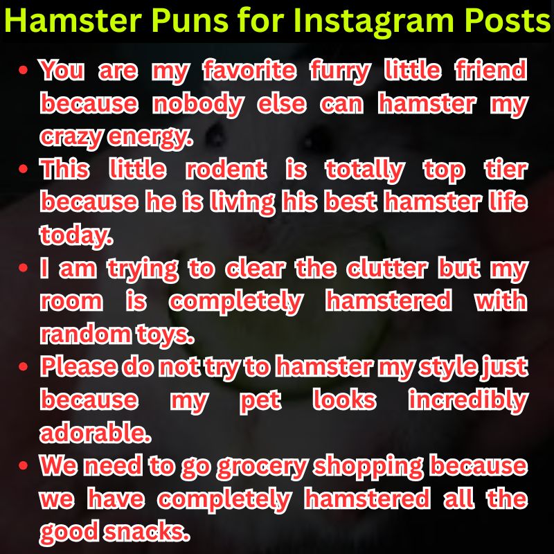 Hamster Puns for Instagram Posts
