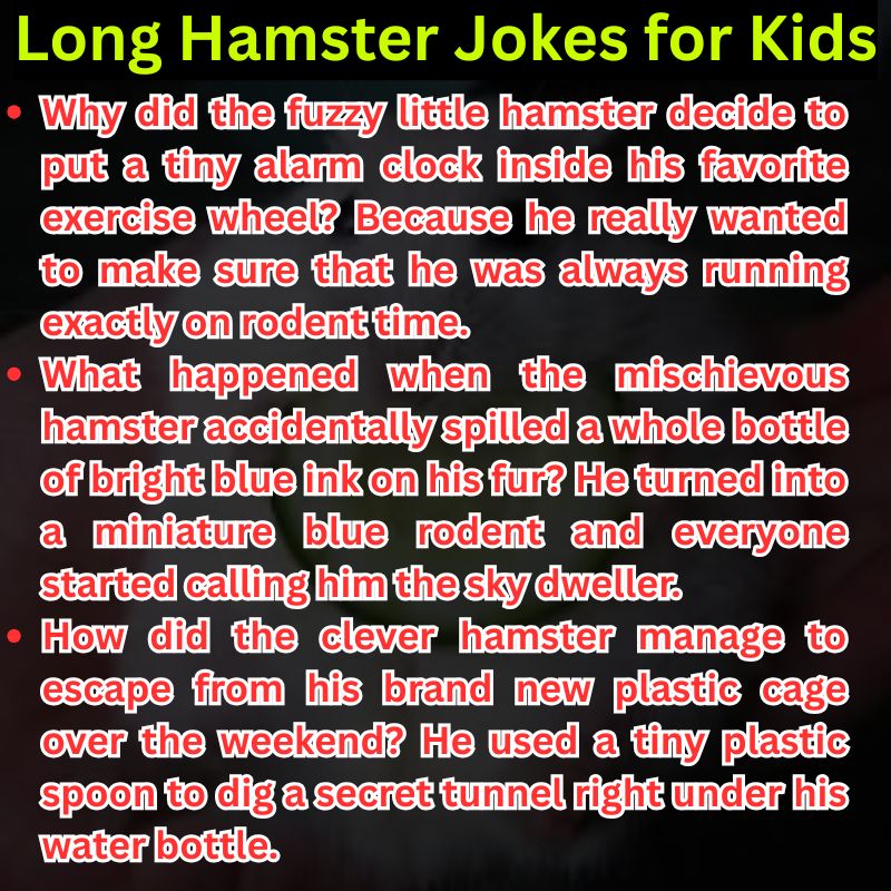 Long Hamster Jokes for Kids