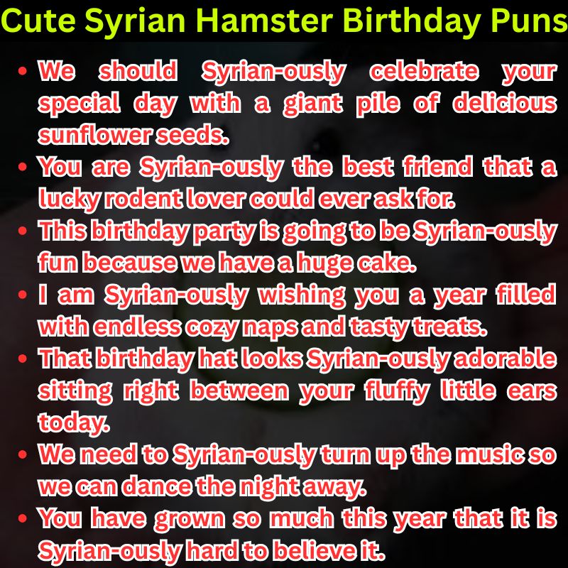 Cute Syrian Hamster Birthday Puns