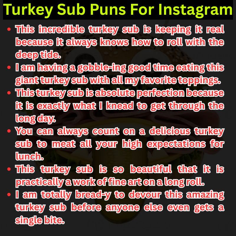 Turkey Sub Puns For Instagram